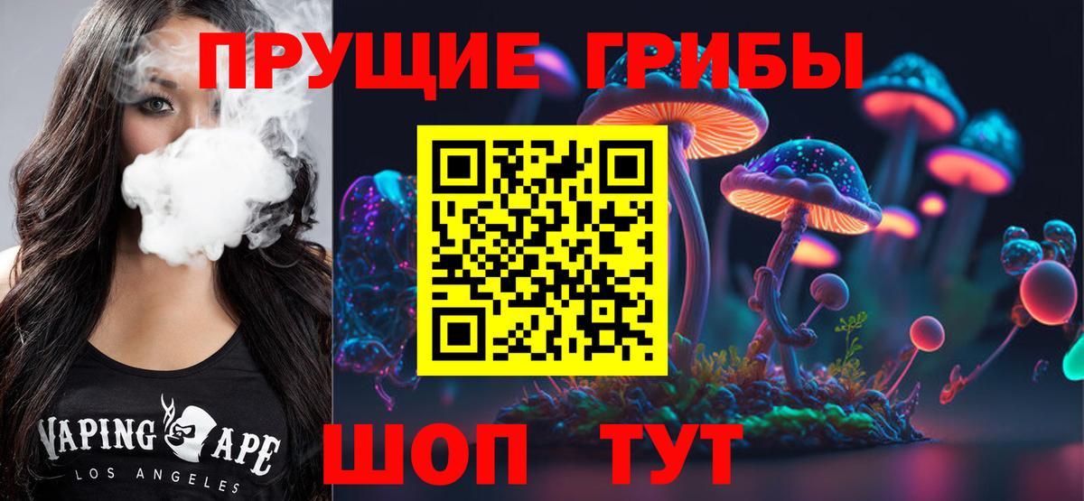 Псилоцибиновые грибы Psilocybine cubensis Родники