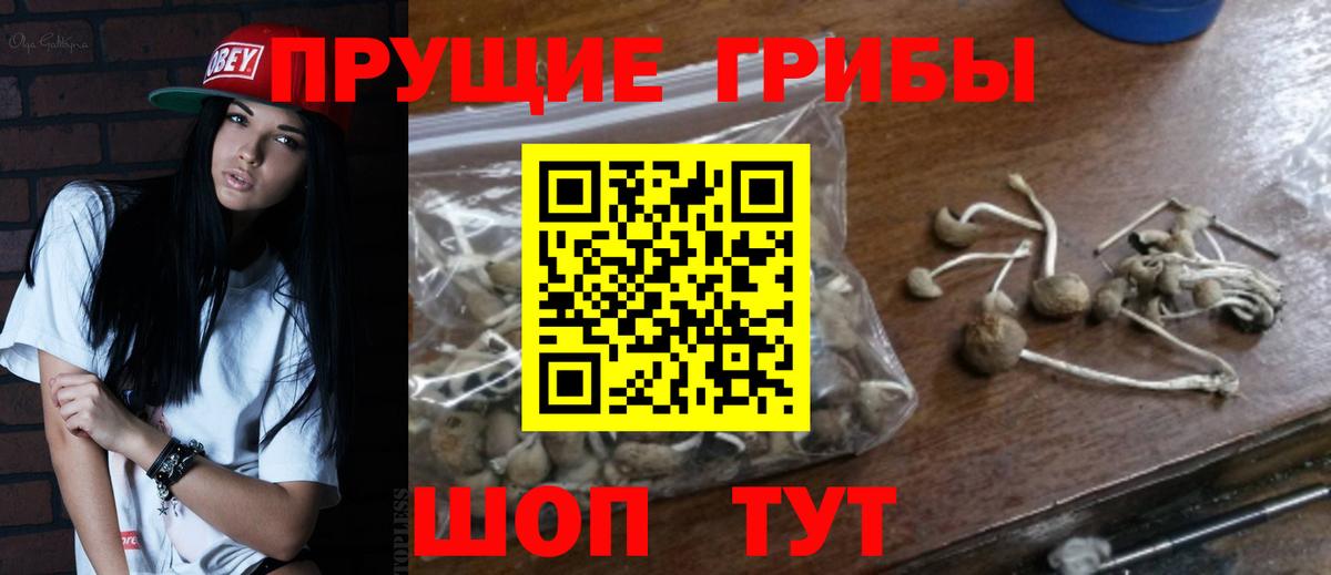 Галлюциногенные грибы Psilocybe  цены наркотик  Родники  Вход с VPN 